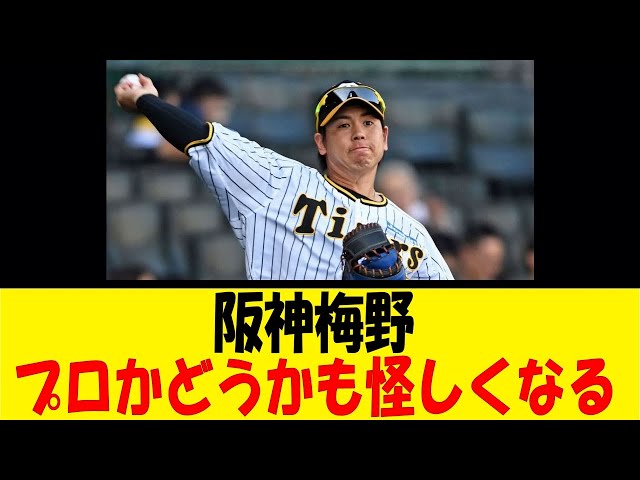 阪神梅野、プロかどうかも怪しくなる【反応集】【野球反応集】【なんJ なんG野球反応】【2ch 5ch】 class=