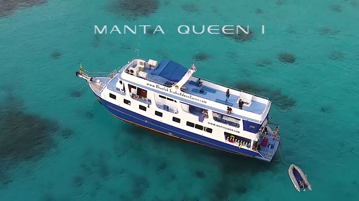 Manta Queen 1