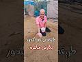 طريقة زراعة بذور النباتات في الأرض  غزة  نباتات