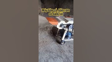 Máy băm cỏ, băm rơm có băng tải