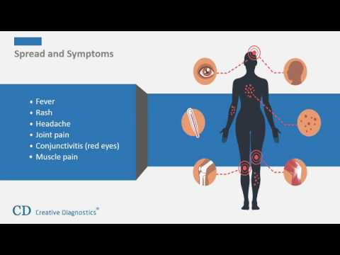 Videó: Mely Országokban Aktív A Zika Vírus?