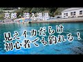 【釣り場動画#25】関西・日本海側有数のエギングポイントは美しいエメラルドグリーンの蒲入漁港(エギング・ヤエン釣り・根魚)