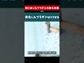 紫外線で劣化したプラダン