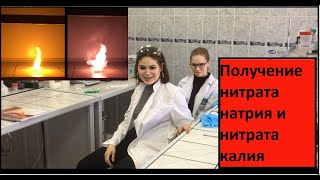 Получение нитрата натрия и нитрата калия | Preparation of sodium nitrate and potassium nitrate