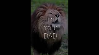 If Think You Are Bad I Am Your Bad Status