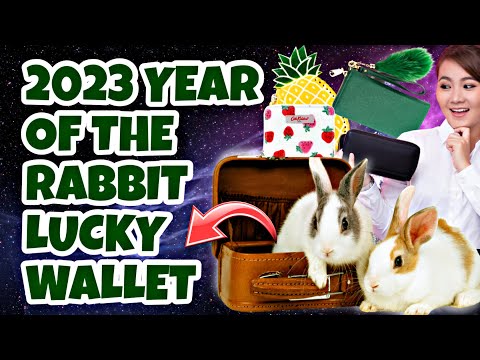 ?2023 LUCKY WALLET FOR YEAR OF THE RABBIT | 2023 MASWERTENG KULAY NG WALLET GABAY PAMPASWERTE