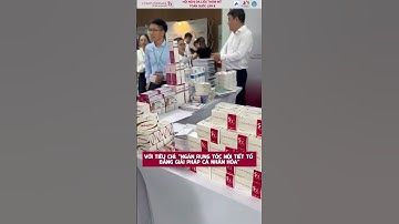 Ngăn rụng tóc nội tiết tố: Từ bổ sung dưỡng chất đơn thuần đến tác động chuyên sâu theo cơ chế DHT.