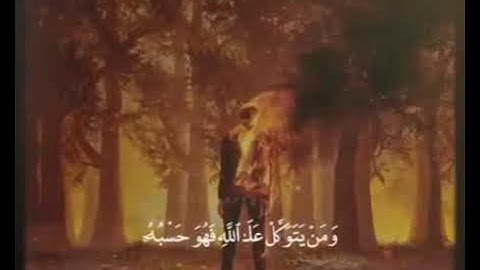 ارح سمعك تلاوة هادئة تطمئن لها القلوب القارئ الشيخ ماهر المعيقلي