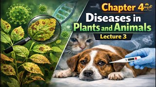 Grade 12 Biology Chapter 4 Lecture 3
