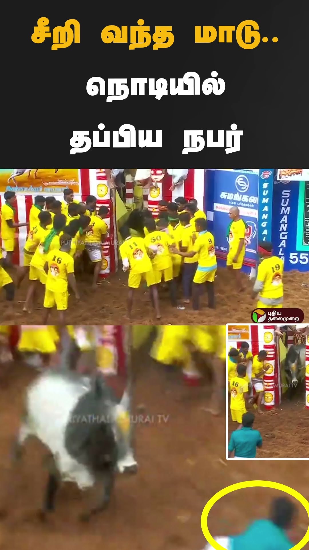 சீறி வந்த மாடு.. நொடியில் தப்பிய நபர் | #shorts | #jallikattu2025 | #jallikattu