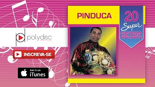 Video thumbnail of "Pinduca - Sinhá Pureza"