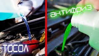 ПОЧЕМУ НЕЛЬЗЯ СМЕШИВАТЬ ТОСОЛ И АНТИФРИЗЫ?