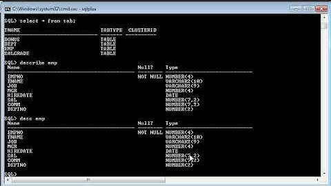 Day-2:Connect to Oracle Sql Plus and fetch Records (hindi)