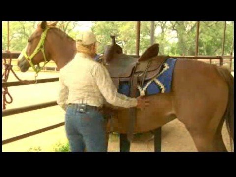 Basic Horsemanship : How to Saddle a Horse