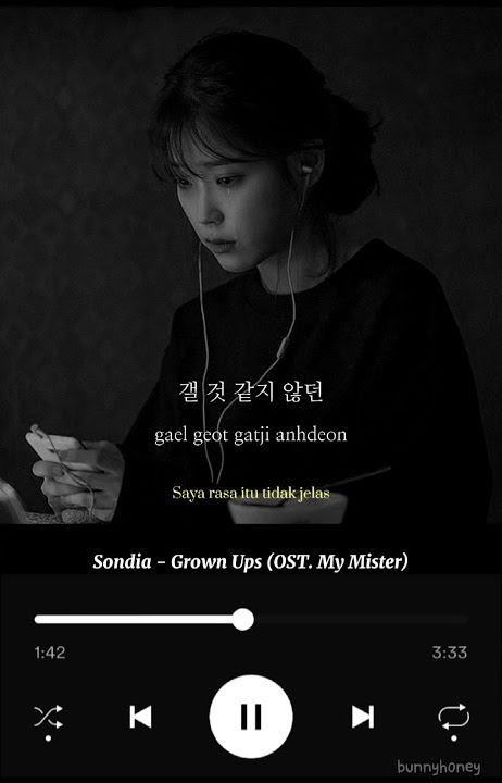 Sondia - Grown Ups (OST. MY MISTER)| aesthetic lyrics (SUB INDO)