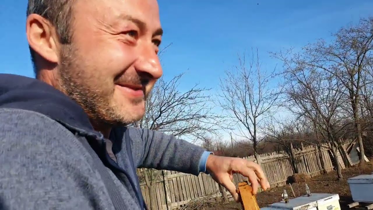 Depopulări masive de albine ! Prezint dovada !