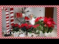 VLOGMAS 11 : ZASZALAŁAM Z GWIAZDAMI BETLEJEMSKIMI! ⭐️ | Andziaks