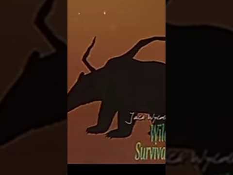 ФОН ДЛЯ НЕКОТОРЫХ