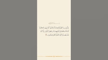 سورة ال عمران الأية (135)