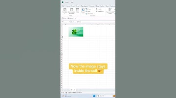 How to insert an Image directly into a Cell. 🤯 #excel #tutorial #exceltips