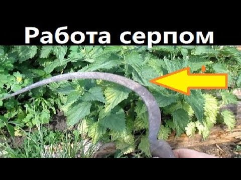 Как косили серпом