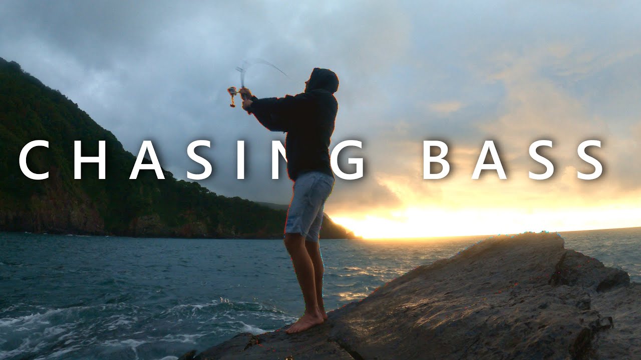 FIRST ever SEA BASS in the RAIN