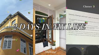 2 Days in My Life | 📍Shillong | • College 📚• Food 🥟• Friends ✨🤍