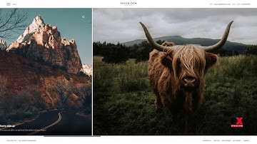 Bloom - Responsive Photography / Portfolio WordPress Theme        Ari