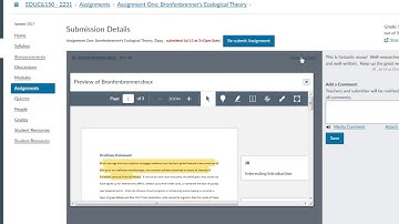 Viewing Instructor Feedback in Canvas
