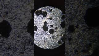 Garnet in Thin Section