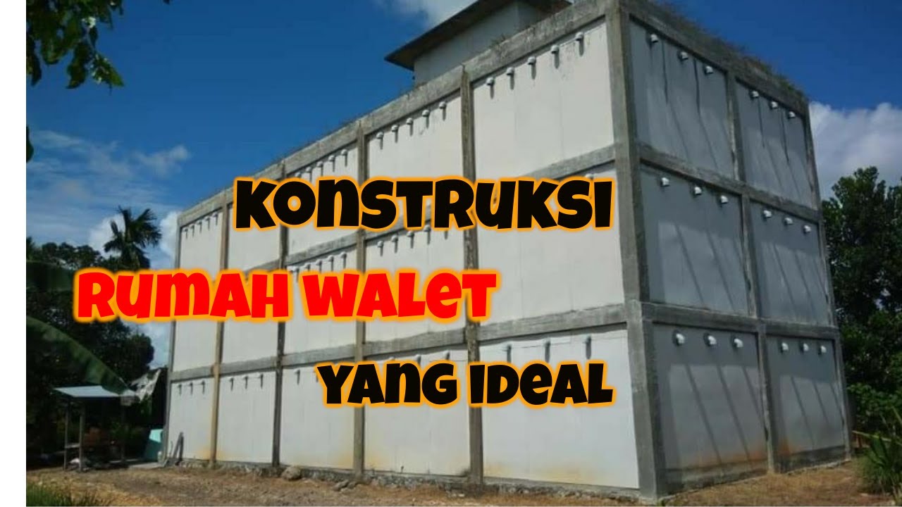 Bentuk Rumah Burung Walet Yang Terbaik