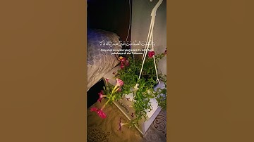 القارئ عبد الرحمن مسعد | سورة مريم | القران الكريم| آيات من القرآن|