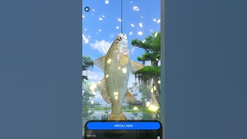 Fun Race 3D — ANDREoid CAM 