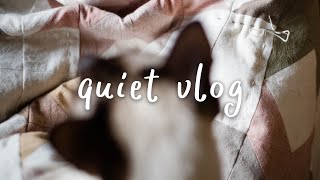 Quiet Vlog | Planting Garlic | Hand Quilting | Making Vegan Kimchi | Veganuary by Eighteen and Cloudy 1,271 views 4 months ago 17 minutes