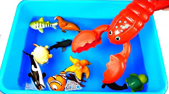 Fun Zoo Animals - Toys For Kids - Happy Cute Animals Sorting thumbnail