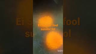 Ei Sundor fool Sundor fool Mitha nodir pani