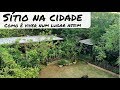 Fiz da minha casa um sítio no centro da cidade!