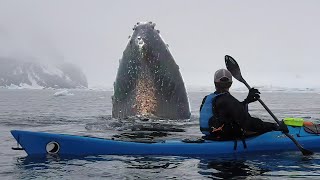 Antarctic Peninsula 2019  Kayaking with Whales