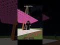 🔥 Public SURVIVAL SMP #minecraft #minecraftsmp #minecraftjava #minecraftbedrocksmp