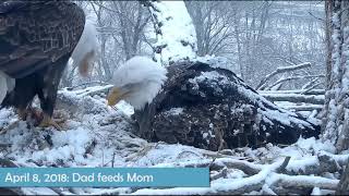 2018 Memory Lane Decorah Eagles #2: Dad Feeds Mom