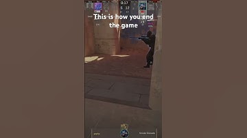This is how you end the game #cs2 #fps #gaming #counterstrike