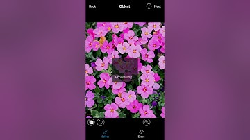 Make cut out using LightX Photo Editor For Android