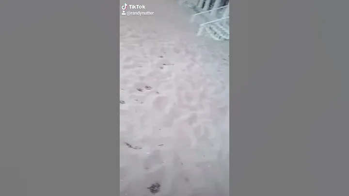 Cool beach