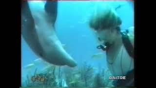 Woman Scuba Diving with Dolphins
