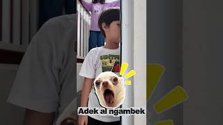 Adek Al Ngambek Terus Sech maryamnabila almaliki21 ngambek shorts