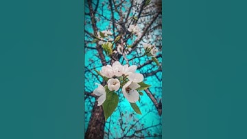 New Reels Beat Sync Edit #shorts #newtrend