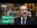 Турки требуют отставки Эрдогана. Как обвал лиры угрожает президенту страны