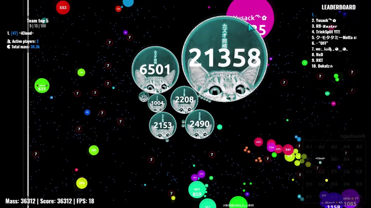 Agar.io - Win/Win Compilation #10