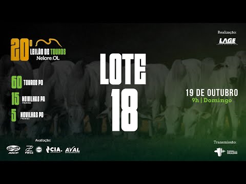 LOTE 18 A6275 PO - 20º Leilão de Touros Nelore OL