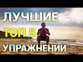 Топ 5 Лучших Упражнений на все Группы Мышц